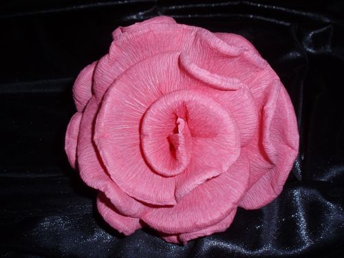 30 x Krepprosen rosa